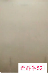 幼儿园画画大全简单漂亮