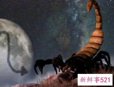 天蝎男会爱上婚外的女人吗