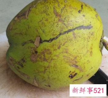 椰青果肉怎么取出来