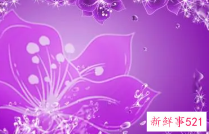 女生喜欢紫色代表什么性格