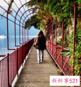 聪明的女人不管男人