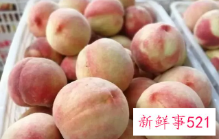 桃子摘下来能放多久