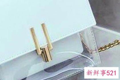 Zara有哪些好看的包包