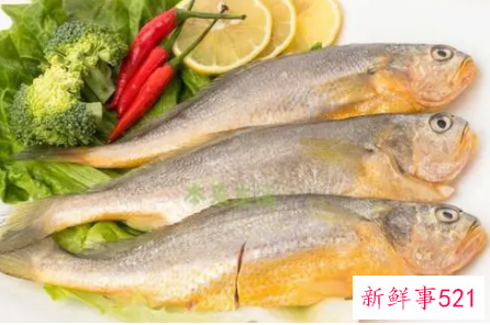 黄花鱼的功效和作用