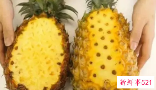 凤梨和菠萝区别是什么