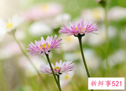 聪明的女人不管男人