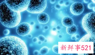 细胞衰老的原因分析