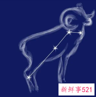 白羊座的人理性起来能有多恐怖