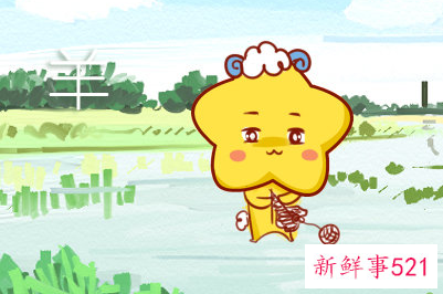 十羊九苦哪俩月羊最苦