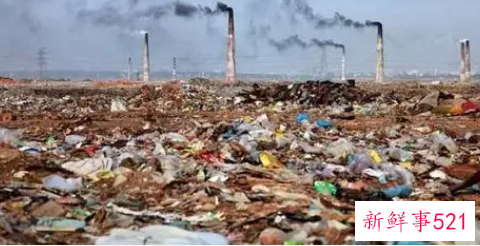 不保护环境会怎么样