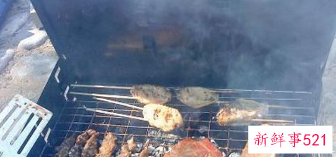 各种食材烧烤时间