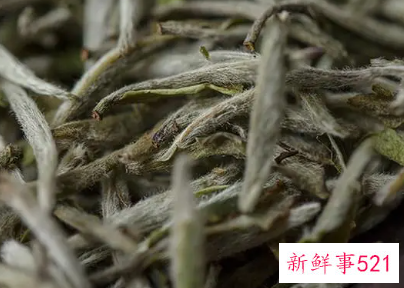 白毫银针怎么储存