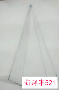 幼儿园画画大全简单漂亮