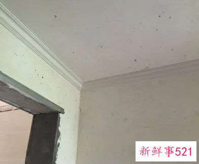 一般阳台要不要做石膏线条