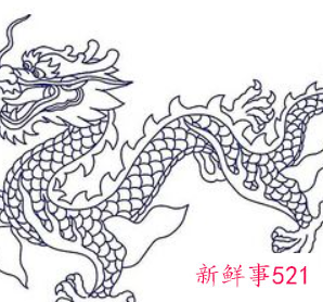 属兔女和属龙男的适合做夫妻吗