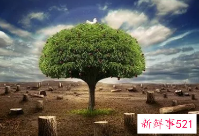 不保护环境会怎么样