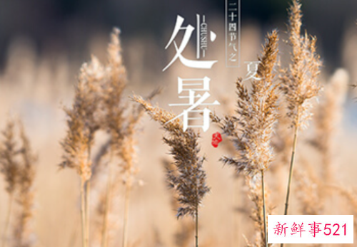 处暑是什么季节的节气