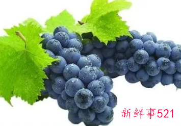 青葡萄的营养价值及功效与作用