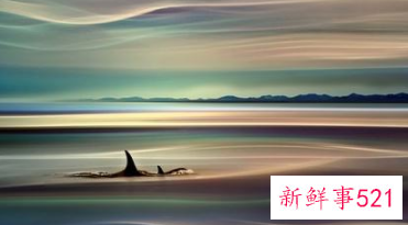 做梦是现实的预兆吗