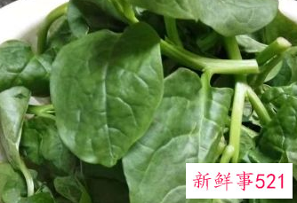 紫角叶的做法大全家常