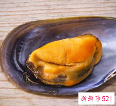 河蚌一般要煮多久可以吃