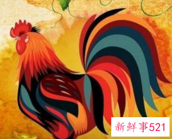 蛇女一见钟情的生肖男