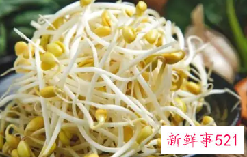 各种豆芽的营养价值及功效