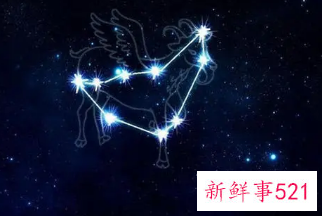 摩羯女孩性格分析