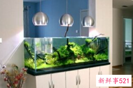 客厅风水鱼缸如何摆放