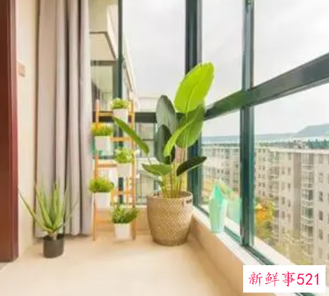 增加运气的家居风水