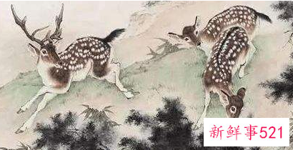 楚辞中最唯美的四字词语