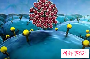 艾滋病毒能否在物体表面存活