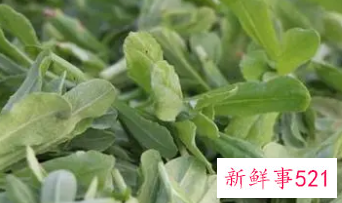 清明菜的功效与作用