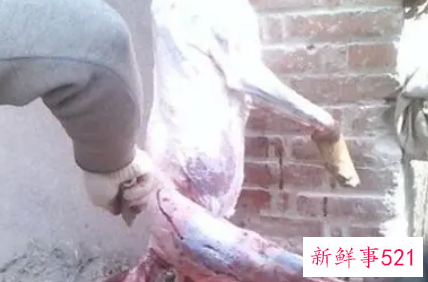 梦见剥动物皮是什么意思