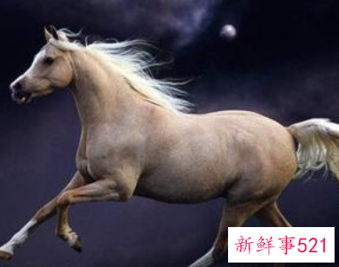 蛇女一见钟情的生肖男