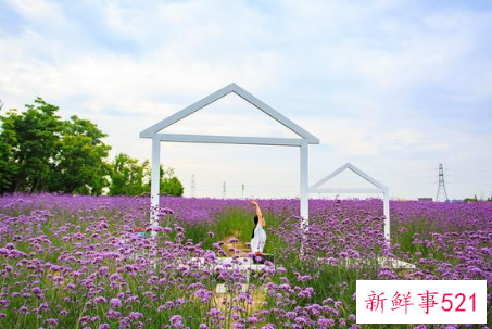 家境好是什么标准