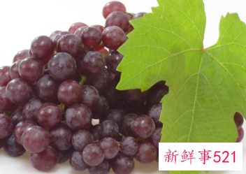 青葡萄的营养价值及功效与作用