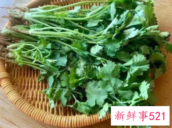 香菜有哪些功效与作用