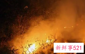 梦见自己放火又灭火