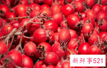 山楂百合泡水喝的功效