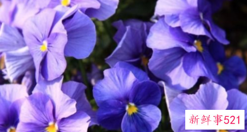 怎么对付唱反调的老公