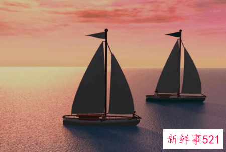 本科生的职业生涯规划