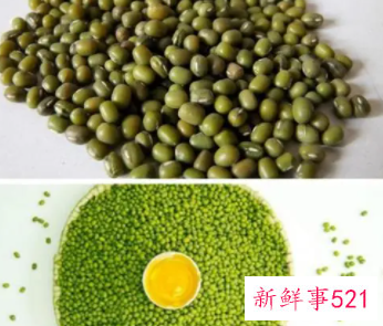 绿豆的功效与作用及营养价值