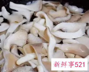 吃起来脆脆的蘑菇是什么