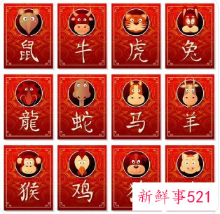 一家三口属相配对表