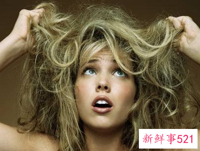 头发干枯毛躁的原因