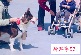 老是吵架适合结婚吗