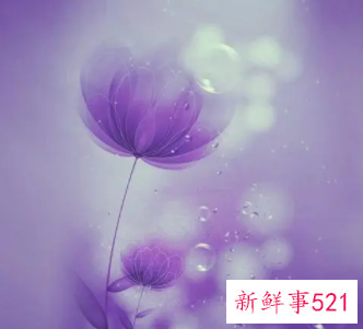 女生喜欢紫色代表什么性格