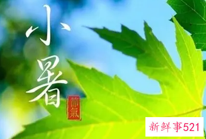 小暑节气怎么发说说