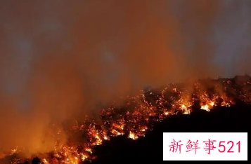 女人梦见着火代表什么预兆